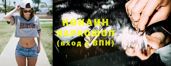 крисы Лагань
