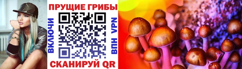 наркотики  blacksprut   Галлюциногенные грибы прущие грибы  Уссурийск 