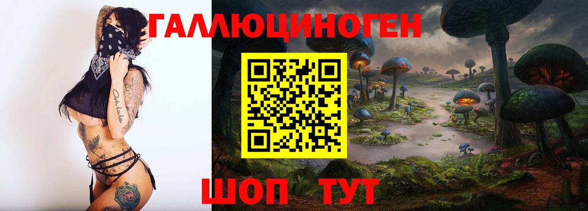 Галлюциногенные грибы Cubensis Уссурийск